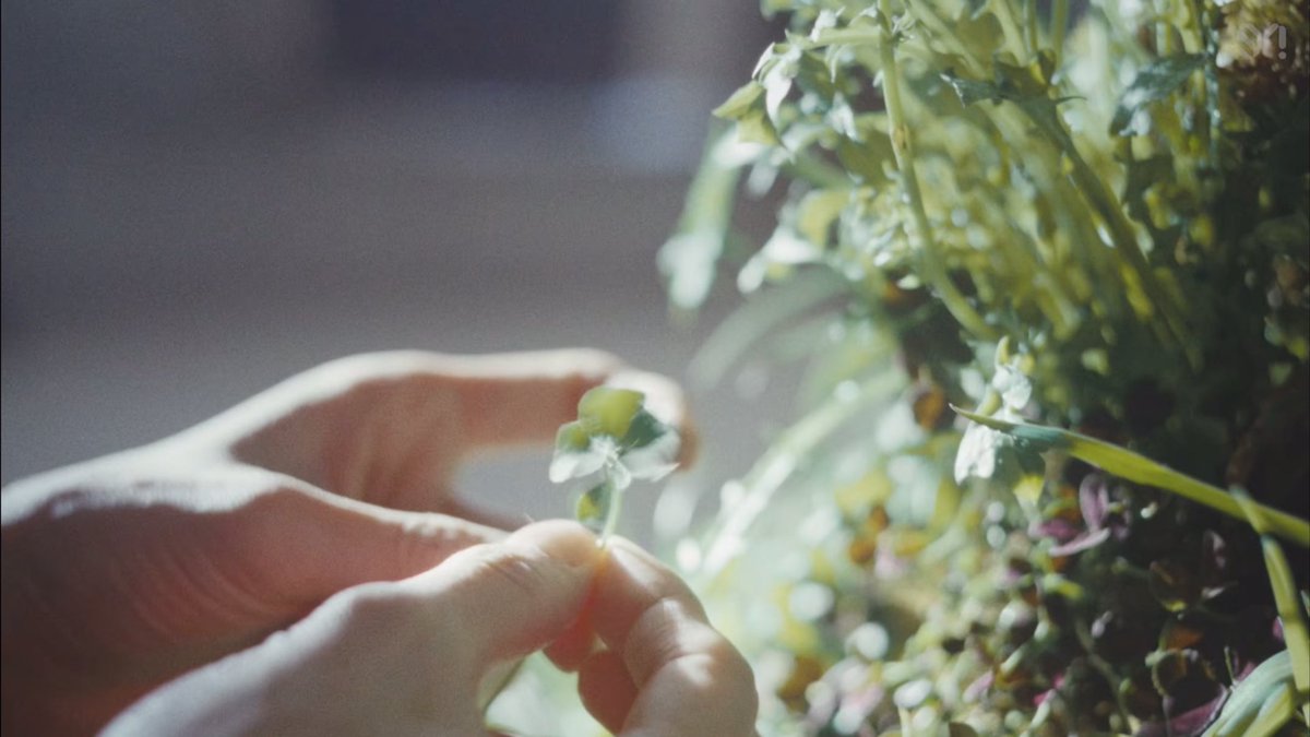 취향의 도영 tweet media