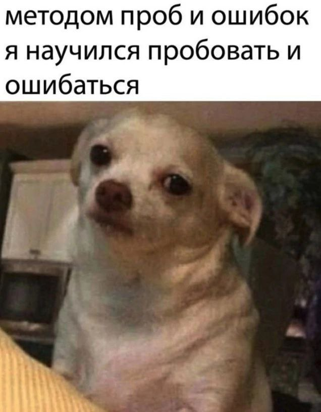 Pathologic Dating Simulator tweet media