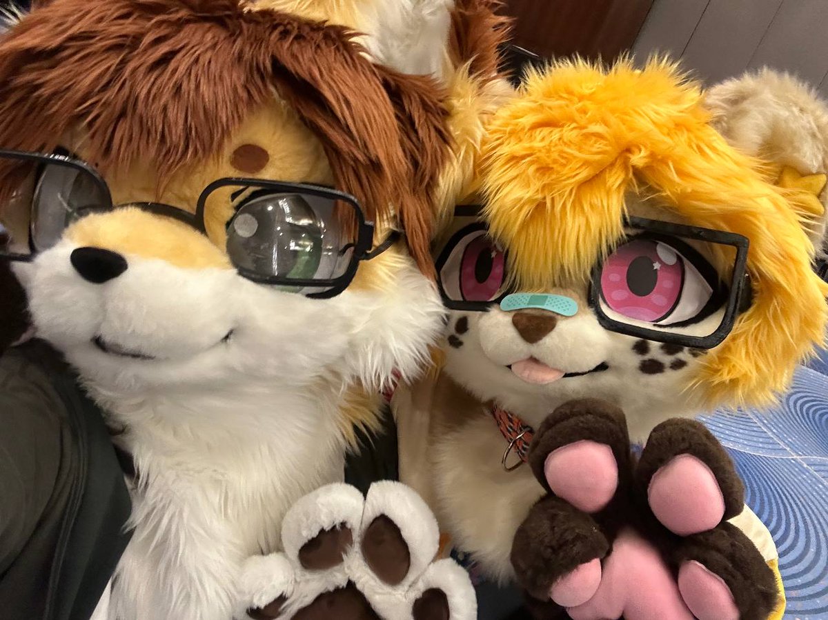 spoopy🐟 tweet media