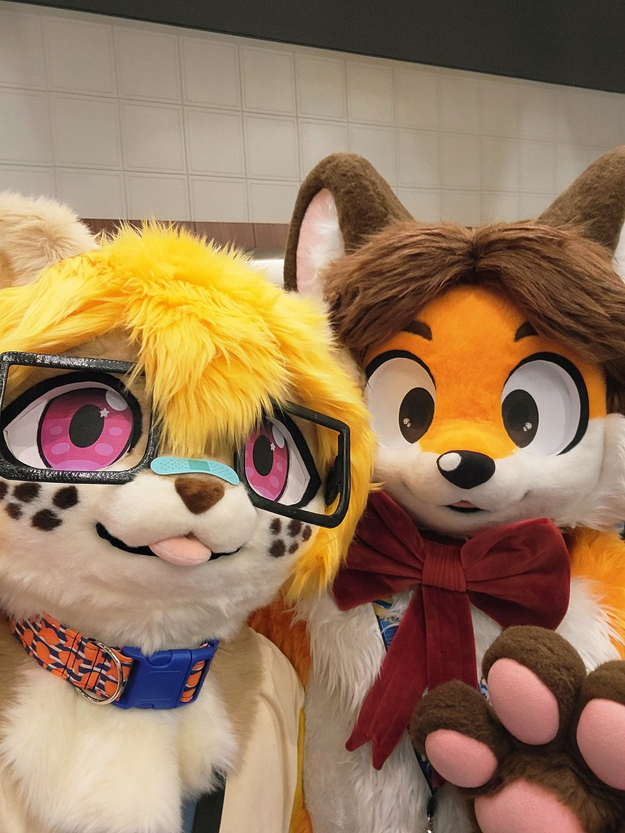 spoopy🐟 tweet media