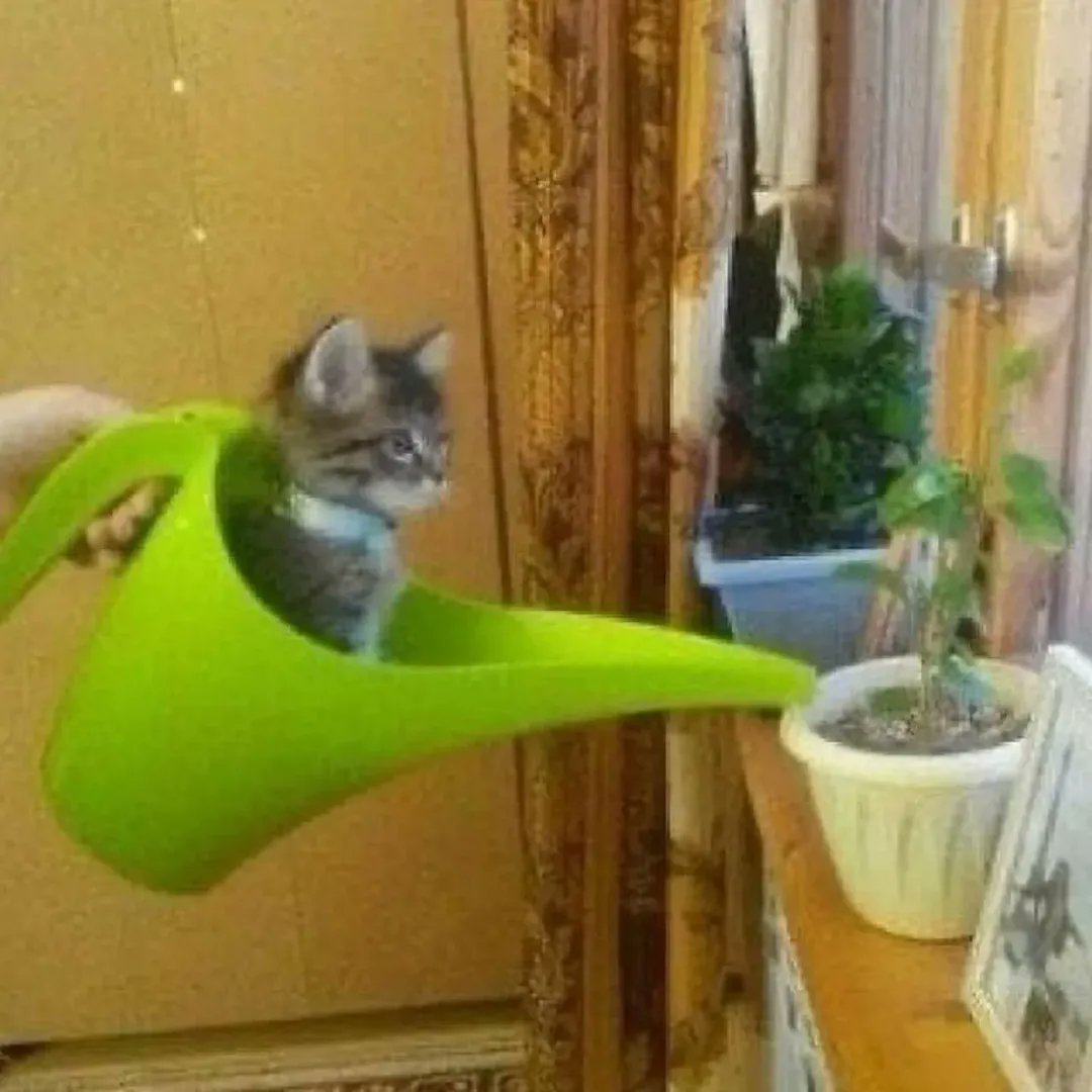 Helping