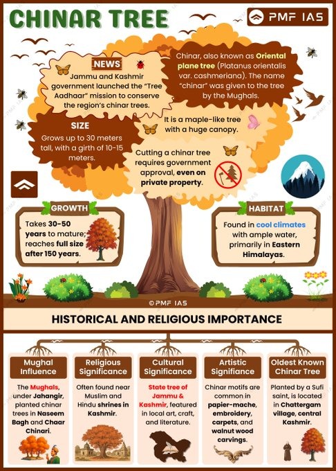 AsimaN121's tweet image. 🌱 Big boost to environmental conservation in J&amp;amp;K.

The J&amp;amp;K Government launches the &quot;Tree Aadhar&quot; mission to protect and preserve the iconic Chinar trees — a blend of development and ecological care.

#JKDevelopment #TreeAadhar
