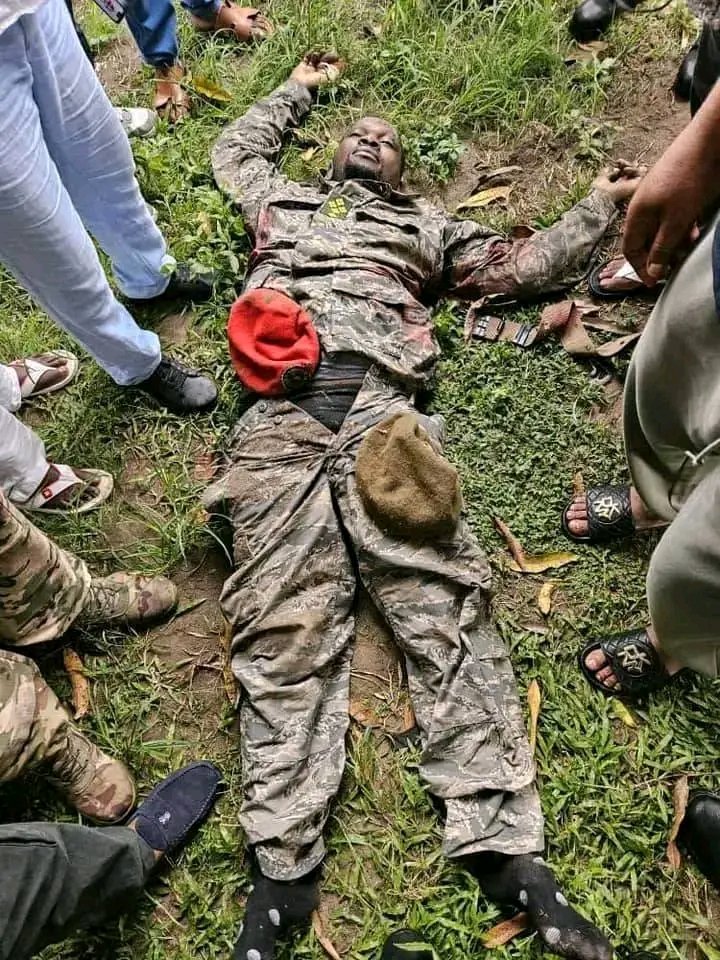 BISO PEUPLE tweet media