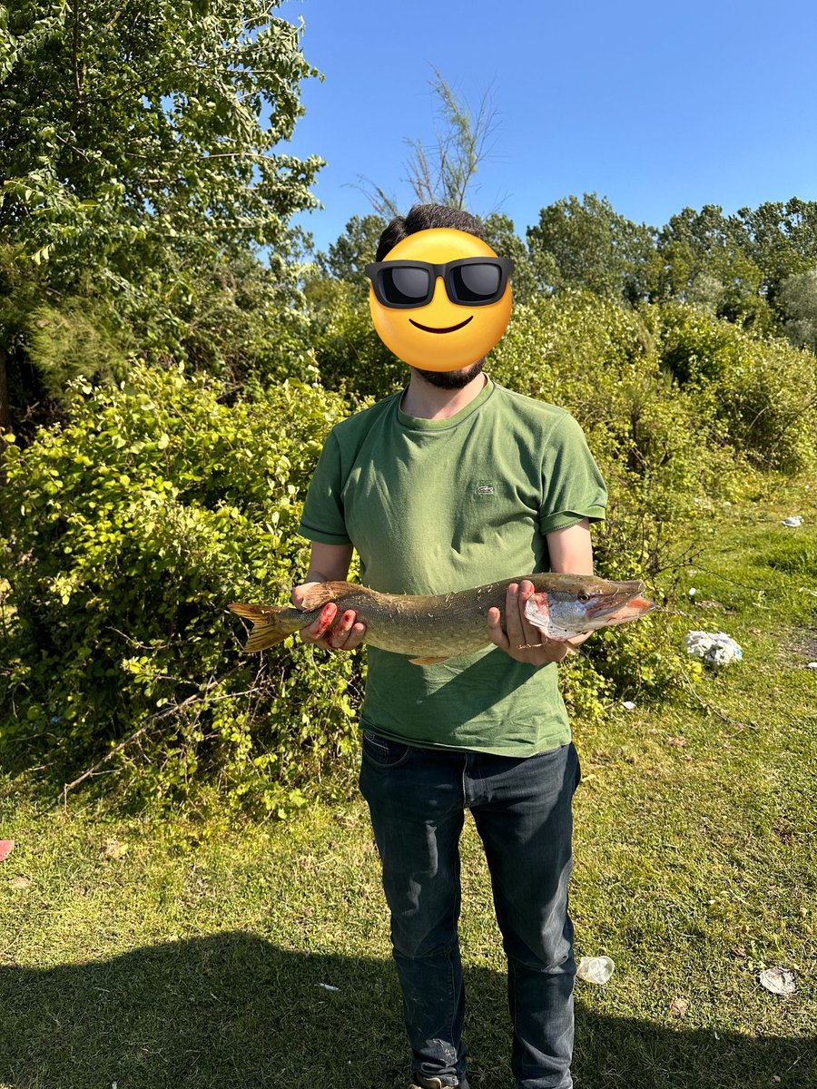 sickyjacksons tweet media