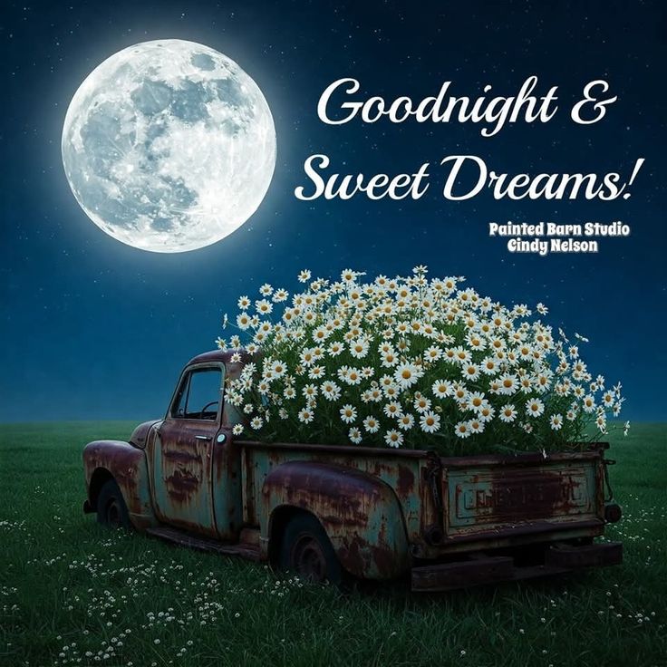 As the world sleeps, may your in heart find peace. Good night!🔙