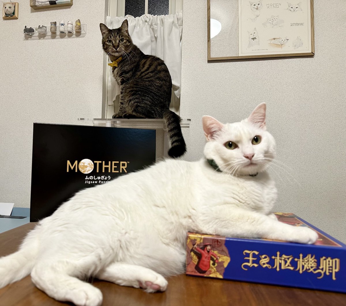 tmrks_tofu's tweet photo. お誕生日にもらったボードゲームとパズルをかっこよく紹介してくれる猫。 https://t.co/iY3TfFAIKL
