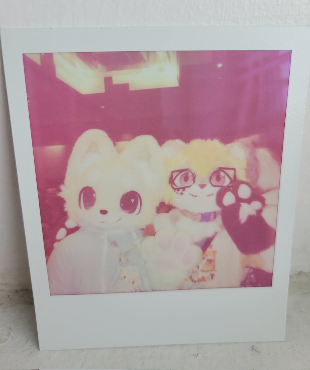 spoopy🐟 tweet media