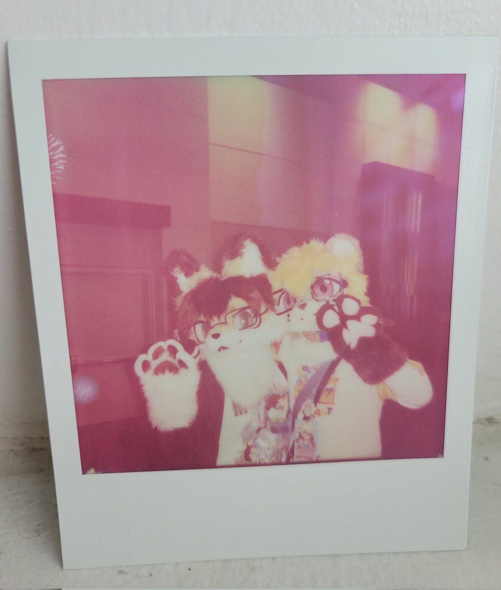 spoopy🐟 tweet media