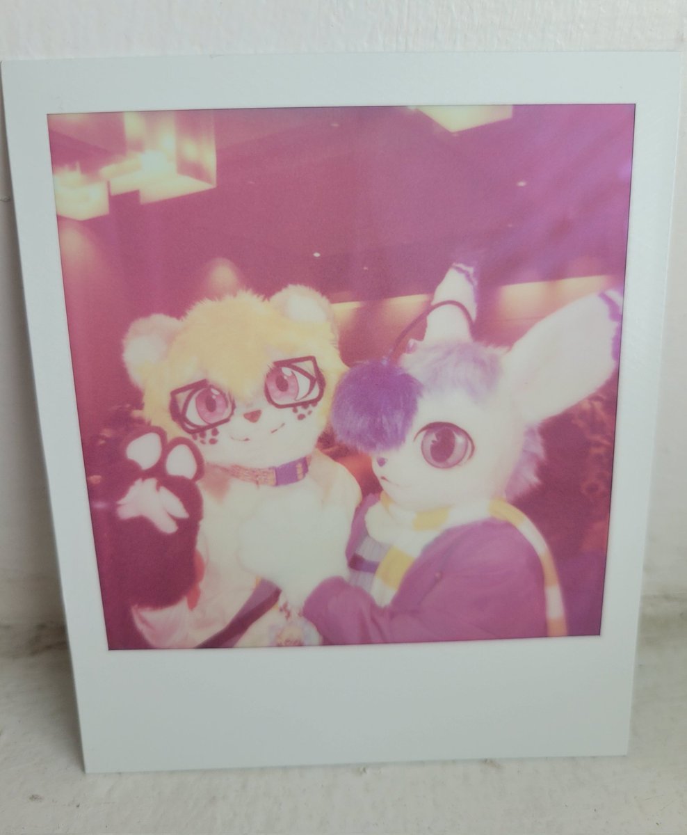 spoopy🐟 tweet media