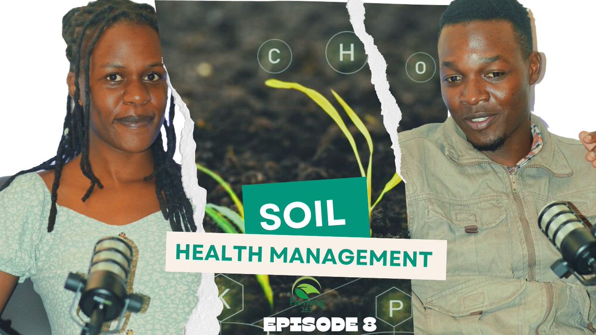 Farming_263 tweet media