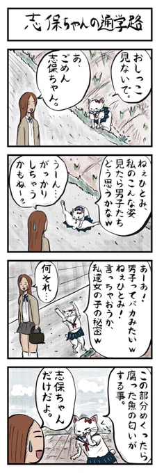 #次にくるマンガ大賞2025
ありがたい事に、志保ちゃんをフォロワーさんに推薦していただいたので、挑戦してみます!😾
よろしければ投票お願いします🐱
web漫画部門で「かに味噌 志保ちゃん」とでも入力していただければいいのかな🤔(題名がないw)
投票はリンクから😸
https://t.co/QjJtzsw7iC 