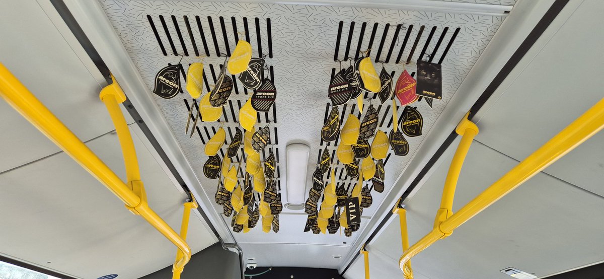 Fun fact imam vrtoglavice i glavobolje od mirisa jelkice u kolima i vangradskim autobusima

Ovo me je upravo dočekalo u gradskom prevozu, imam potrebu da se onesvestim: