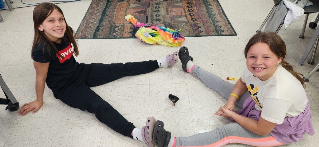 4th graders visited the baby chicks in the 5th grade classes. They were so soft and fluffy- it was hard to say goodbye!
🐣💛👋
Los estudiantes de 4to grado visitaron a los pollitos en las clases de 5to grado. 
 #JeffersonJourney🐝