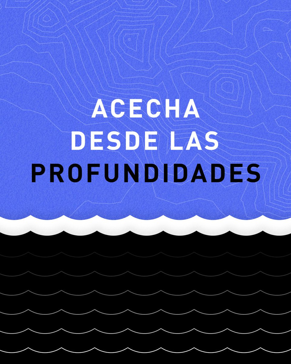 panthalassa_e's tweet photo. Acecha desde las profundidades https://t.co/VK4K3UYmLo
