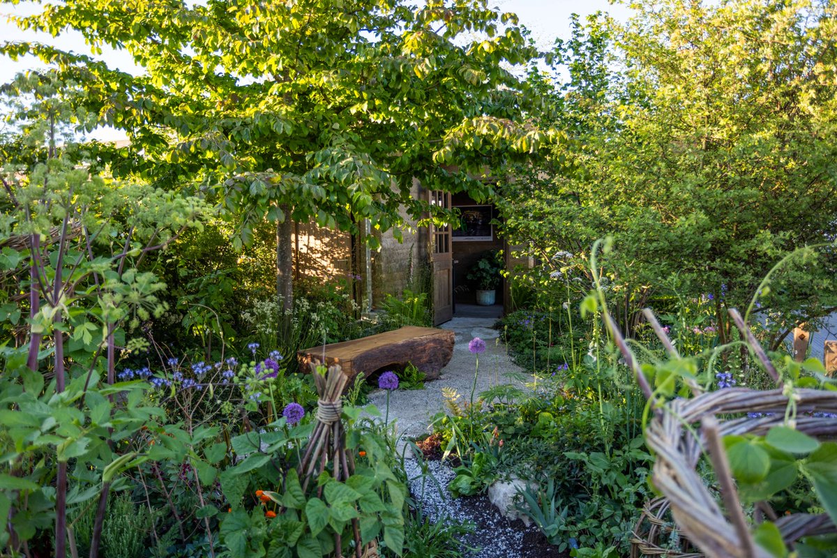 UoN Science (@uonscience) on Twitter photo 🌱 It’s #RHSChelsea Flower Show week! Our <a href="/UoNBiosciences/">UoNBiosciences</a> scientists are showcasing research on the climate-resilient pigeon pea, a crop key to food security & sustainable agriculture at the Garden of the Future, supported by <a href="/gatesfoundation/">Gates Foundation</a>.
ow.ly/86fA50VUTO6 🌱 It’s #RHSChelsea Flower Show week! Our <a href="/UoNBiosciences/">UoNBiosciences</a> scientists are showcasing research on the climate-resilient pigeon pea, a crop key to food security & sustainable agriculture at the Garden of the Future, supported by <a href="/gatesfoundation/">Gates Foundation</a>.
ow.ly/86fA50VUTO6
