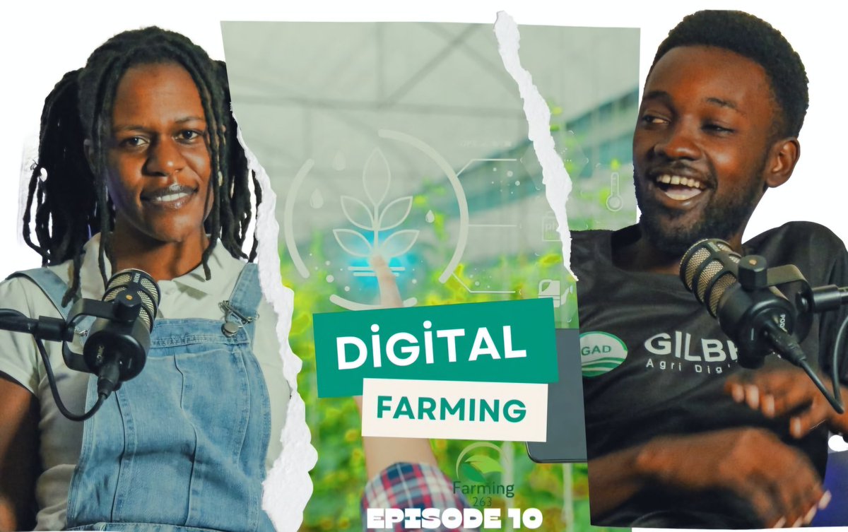 Farming_263 tweet media