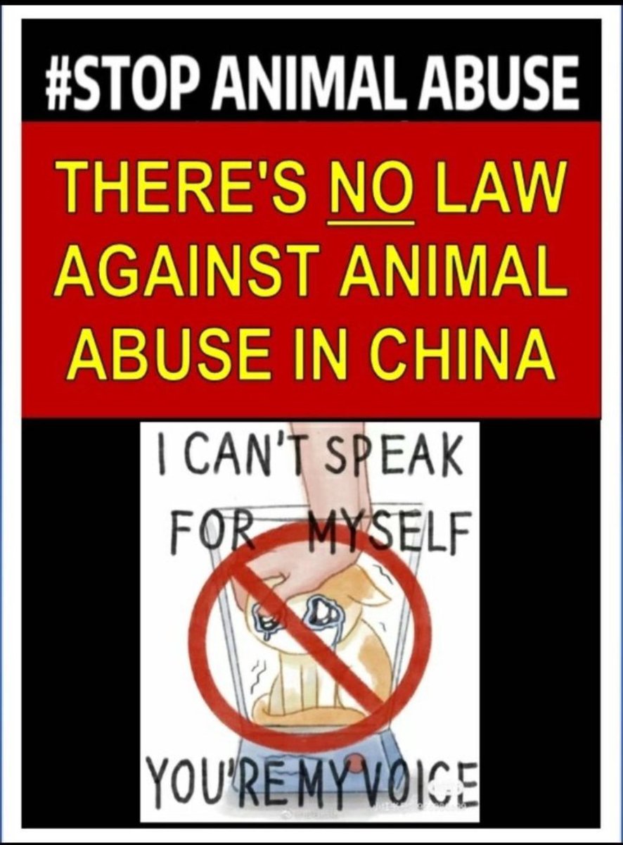 001blacksheep's tweet photo. Here are a few places where you can pressure the peoples republic of china to enact #Animal Welfare Laws and impose harsh punishments on those who torture and kill Animals.
Real #china
#SavechineseCats
#boycottchina
#boycottchinesepeople
And #stopAnimalabuserschina https://t.co/z0r7c5S4hr