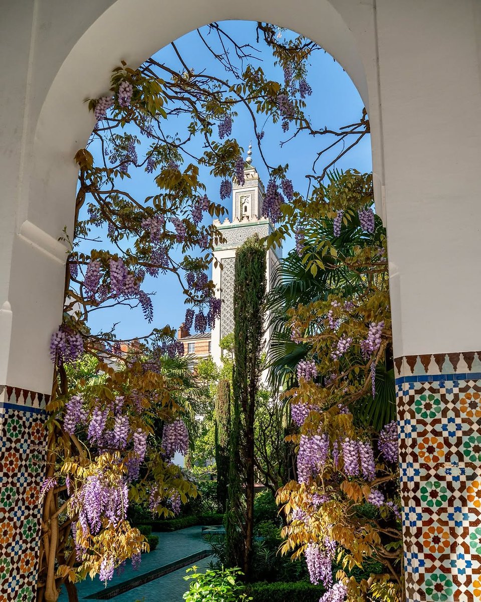 La Grande Mosquée de Paris è un vero e proprio giardino delle meraviglie 🕌💜

📷 elisabarg

#parigipuntoit #parigi #paris
