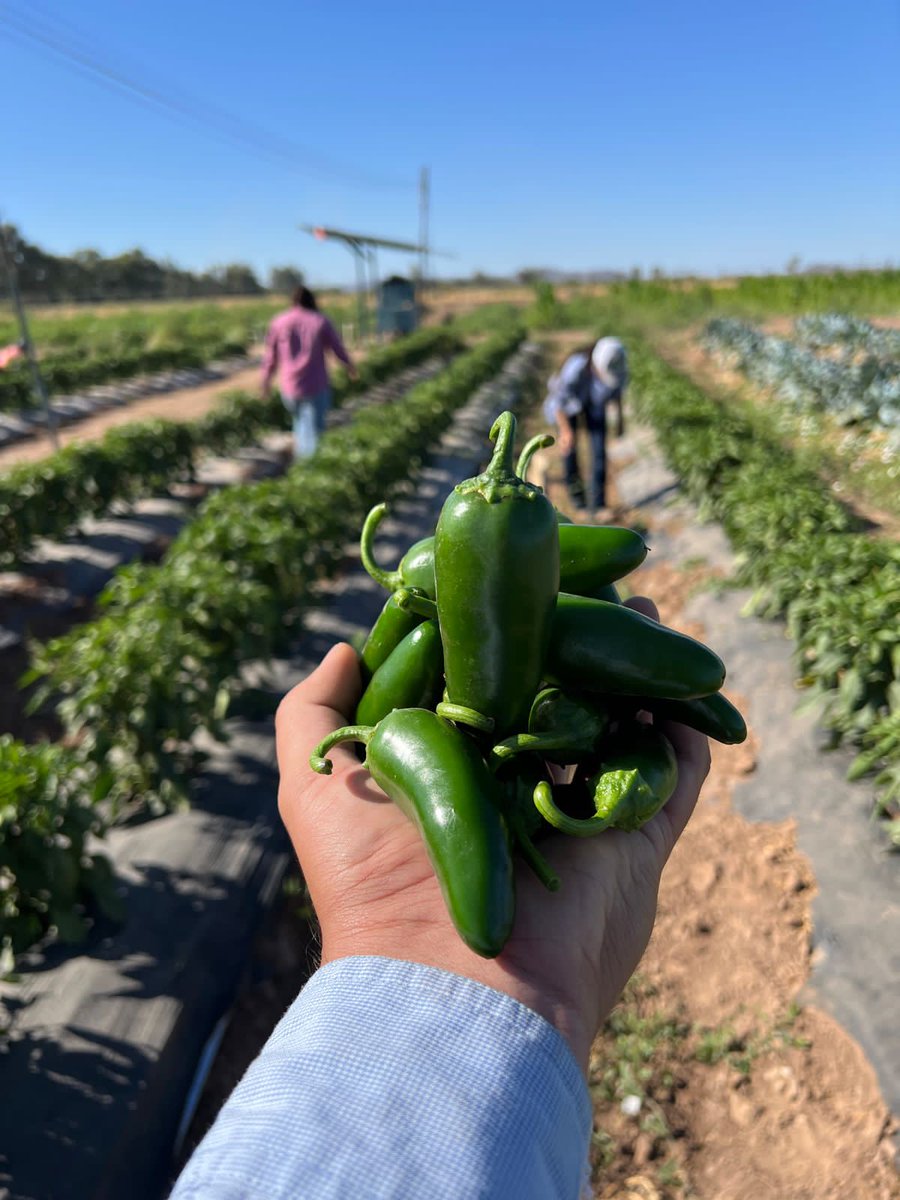 Soy Unison tweet media