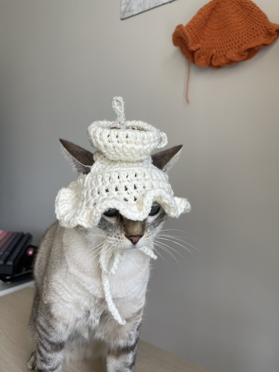 boldoopsie's tweet photo. Babe what’s wrong you haven’t touched your catpuccino ☕️ https://t.co/2cI73DxAlw