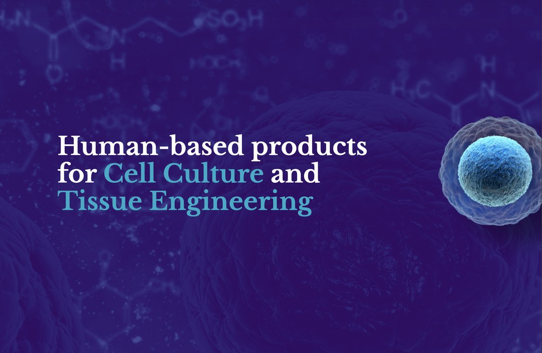 Metatissue, a biotech startup from CICECO, is making waves at South Summit Madrid 2025! 🌍🚀

More: swki.me/RccjoqE8

#SouthSummit2025 #Metatissue #Innovation #Startups #TissueEngineering #PortugalEmAlta