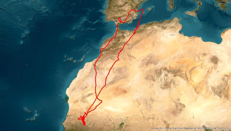 Después de una larga temporada de silencio y en plena temporada de conservación de nuestros aguiluchos, os dejamos una entrada sobre el primer periplo completo migratorio de uno de los ejemplares liberados el año pasado.

tumbabuey.org/vaya-vuelta-to…