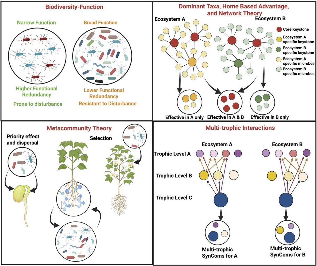 ManuDelgadoBaquerizo (@manudelbaq) on Twitter photo Don't miss this <a href="/theGSBI/">Soil Biodiversity</a> blog about our recent manuscript in <a href="/NewPhyt/">New Phytologist</a>
nph.onlinelibrary.wiley.com/doi/10.1111/np…
globalsoilbiodiversity.org/blog-beneath-o…
<a href="/IRNAS_CSIC/">IRNAS Sevilla</a> Don't miss this <a href="/theGSBI/">Soil Biodiversity</a> blog about our recent manuscript in <a href="/NewPhyt/">New Phytologist</a>
nph.onlinelibrary.wiley.com/doi/10.1111/np…
globalsoilbiodiversity.org/blog-beneath-o…
<a href="/IRNAS_CSIC/">IRNAS Sevilla</a>