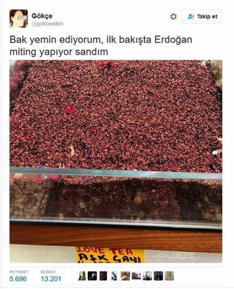 Eskiler bilir, miting deyince ilk bu tvit gelir akla..
Aden ne yaptı acaba? Futbolcu oldu mu?