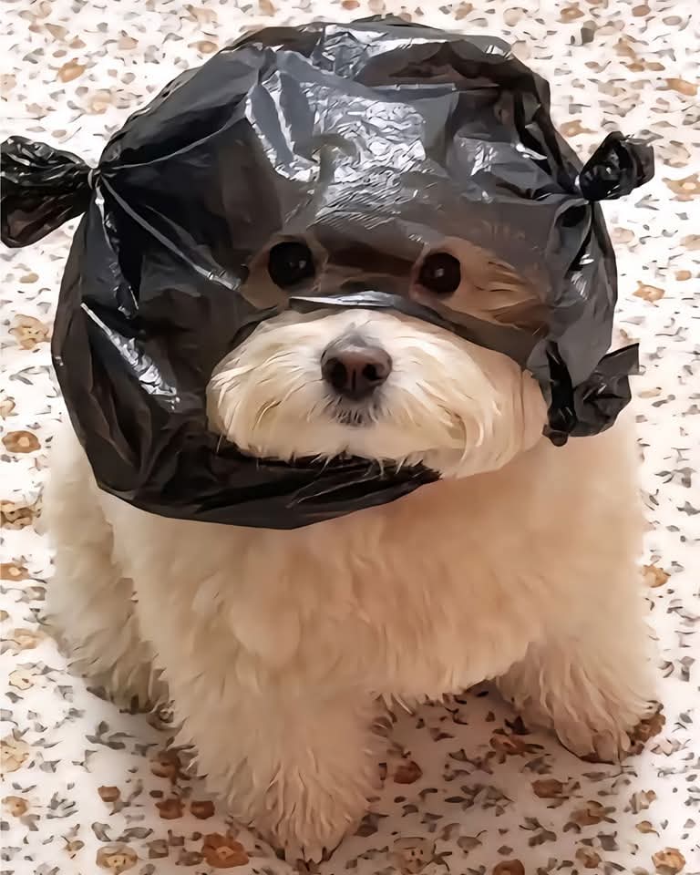 Así quede después de pedirle la cuenta a la mesera, y pensara que la estaba saludando..