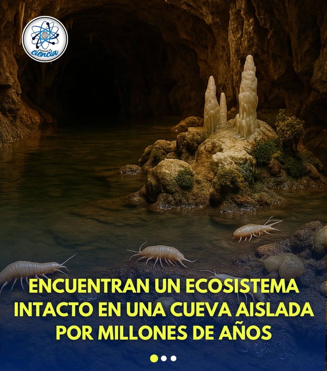 EnsedeCiencia's tweet photo. 🇷🇴En Rumania, una cueva sellada desde hace más de 5 millones de años, alberga especies que no existen en ningún otro lugar.🤯😵‍💫

¡Un mundo secreto bajo nuestros pies! https://t.co/uiPtUAfxJ5