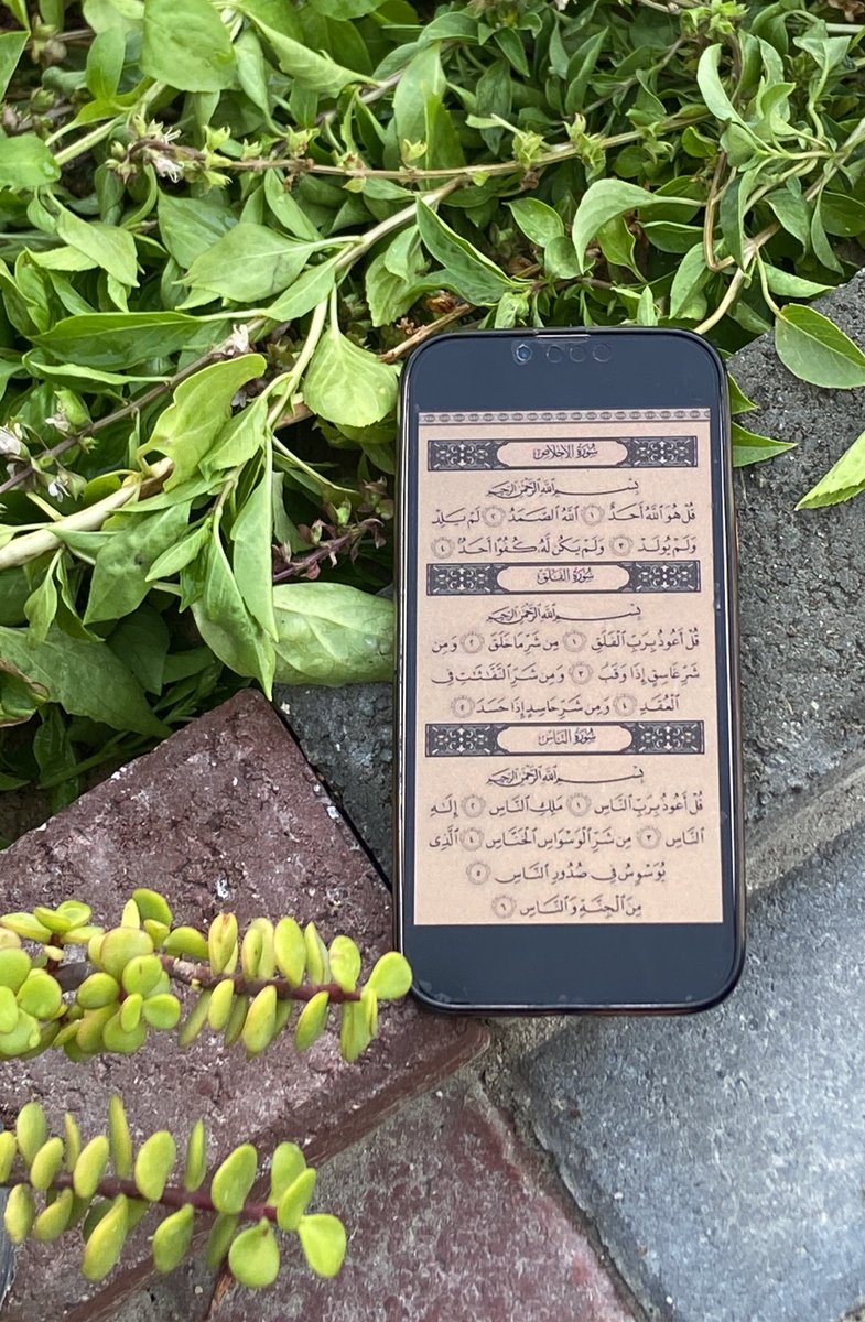 17Salmayas's tweet photo. https://t.co/PwAdVOBBFa