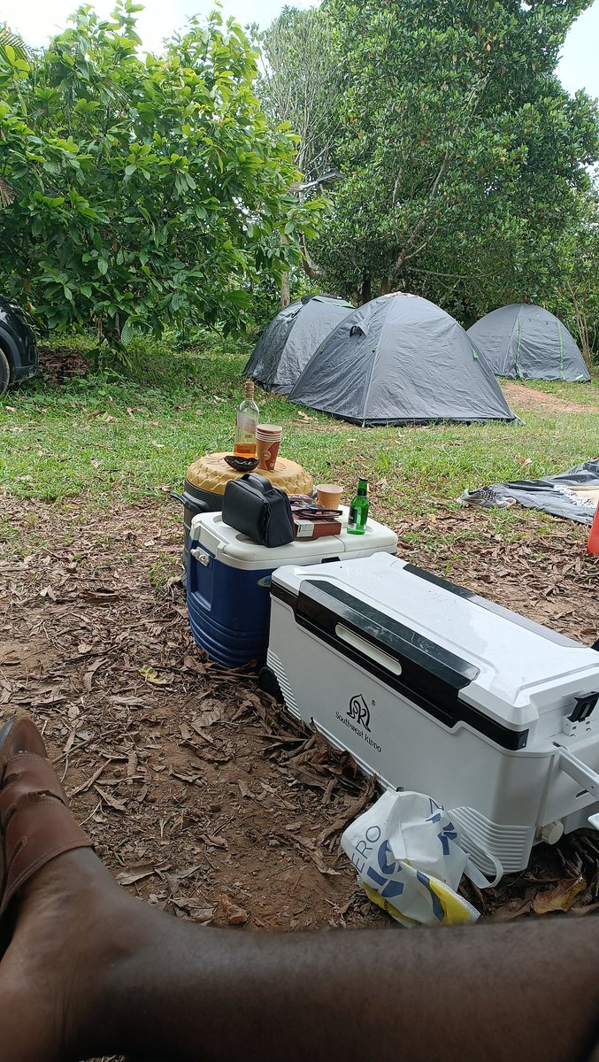 Iam_kristians's tweet photo. Chaque week end, tu disparais , est ce qu'on t'a pas marié nani nana? Tchrouuu
Le résumé du week end en 4 images.
Je suis allé découvrir le domaine #Mèkisaba chez mon grand frère @nar6lAfrodiziak avec la tribu.
C'était magnifique 🤩
#teamtribu #teamroadtrip https://t.co/k0gmONBMZN