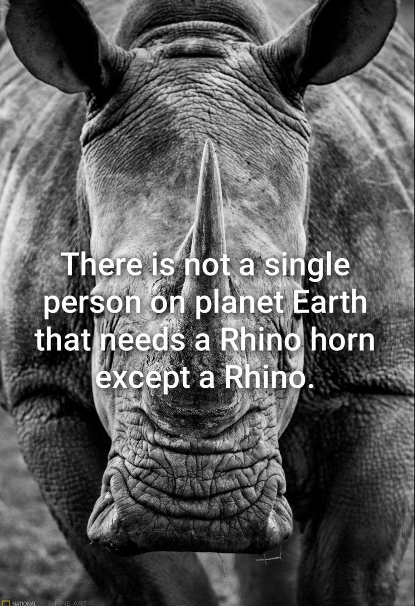 There is not a single person on earth that needs a rhino horn!