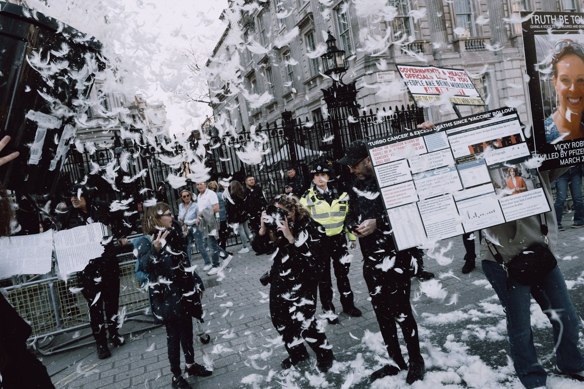 João Daniel Pereira tweet media