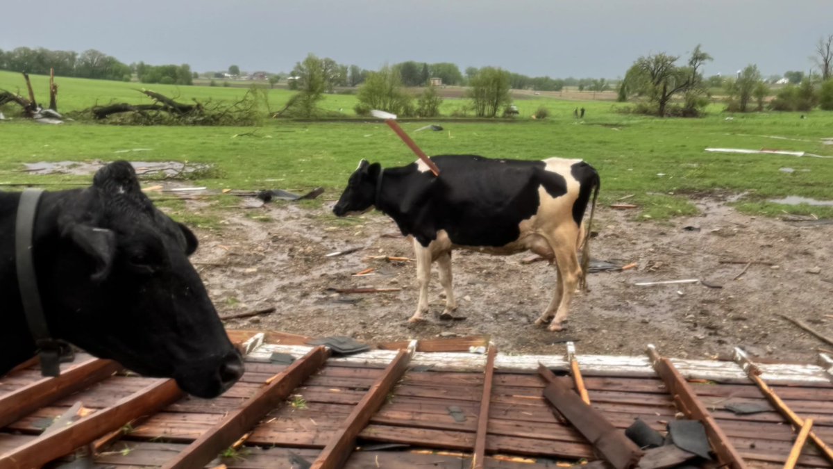 KWCH 12 News tweet media