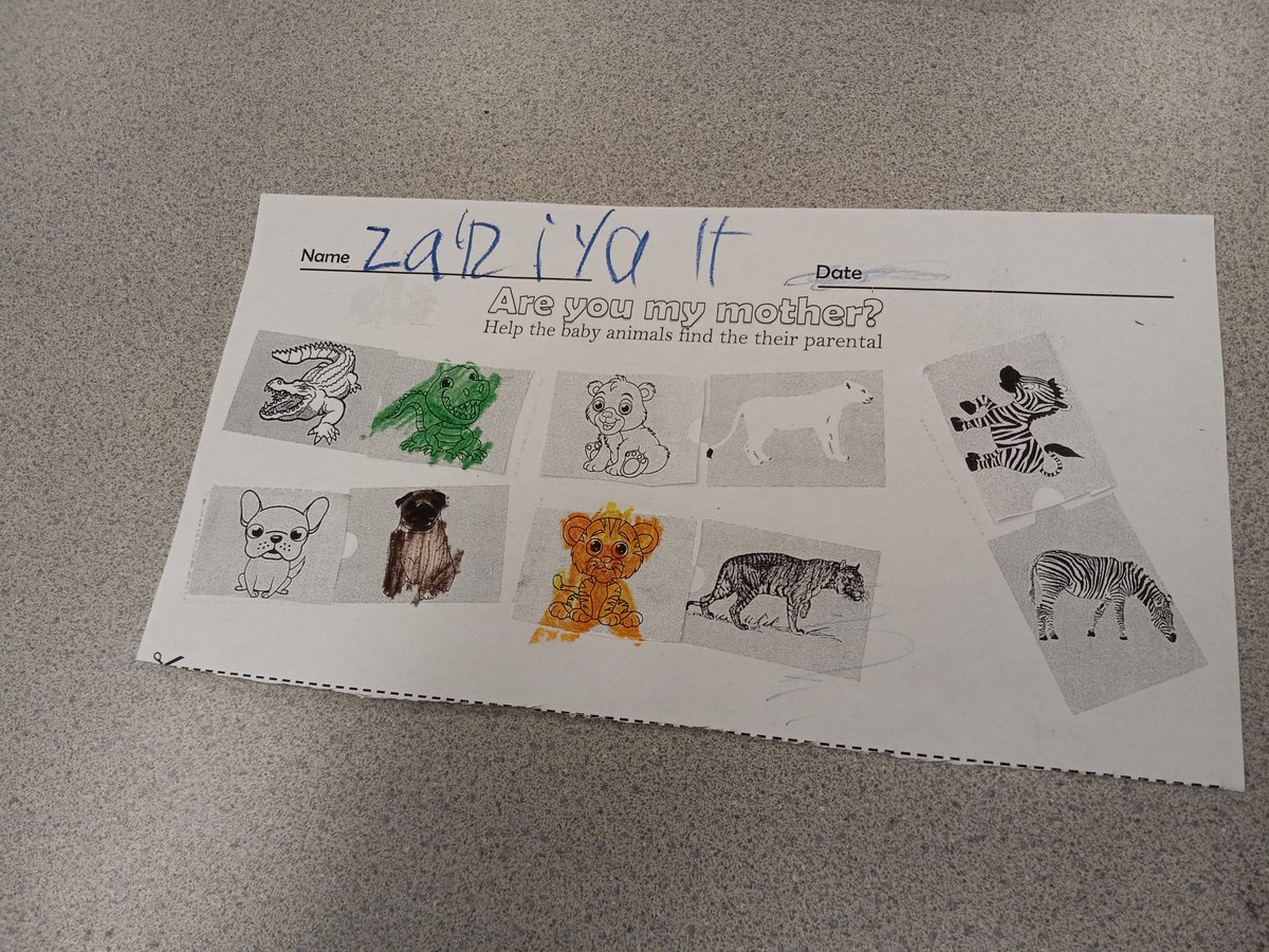 Mrs. C. (@kinderteach571) on Twitter photo Monday...<a href="/HCPSGraham/">Graham Elementary</a> 1st grade is busy with math <a href="/iReady/">i-Ready</a> & matching baby & mother animals ...great ๐ work. <a href="/CurriculumAssoc/">Curriculum Associates</a> <a href="/WeAreHAEST/">HAEST</a> <a href="/HCPSElemScience/">HCPSElemScience</a> <a href="/HCPSTNRegion2/">HCPS TN Region 2</a> <a href="/sharonwaite/">Sharon Waite</a> <a href="/RyanMoodyHCPS/">Ryan Moody</a> <a href="/AsyaAdkins/">AsyaAdkins-Cenatus</a> Monday...<a href="/HCPSGraham/">Graham Elementary</a> 1st grade is busy with math <a href="/iReady/">i-Ready</a> & matching baby & mother animals ...great ๐ work. <a href="/CurriculumAssoc/">Curriculum Associates</a> <a href="/WeAreHAEST/">HAEST</a> <a href="/HCPSElemScience/">HCPSElemScience</a> <a href="/HCPSTNRegion2/">HCPS TN Region 2</a> <a href="/sharonwaite/">Sharon Waite</a> <a href="/RyanMoodyHCPS/">Ryan Moody</a> <a href="/AsyaAdkins/">AsyaAdkins-Cenatus</a>