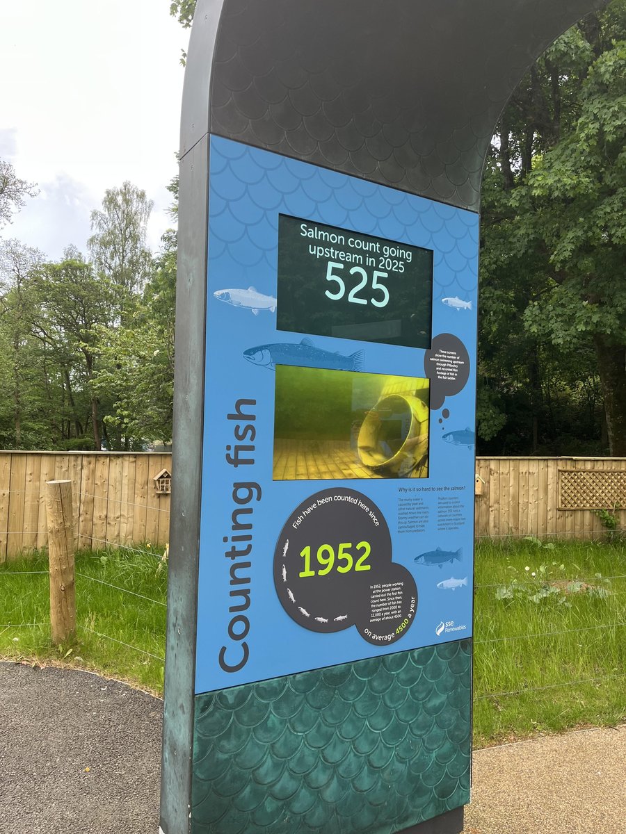 Ladder count 525
Monday 19/5/25   15:55 BST.