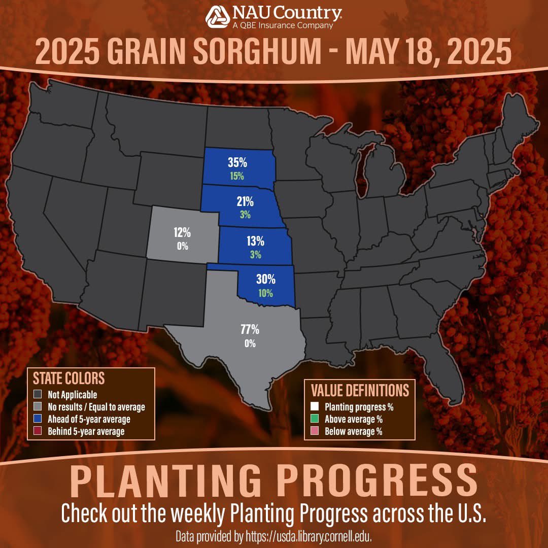 naucountry's tweet photo. As the 2025 planting season kicks into high gear, farmers across the country are making strides in the fields! Check out the latest USDA data showing crop planting progress for corn, soybeans, and grain sorghum by state. Learn more here https://t.co/7KiVEYKXEq #CropProgress #USDA https://t.co/5aMAoJ82oC