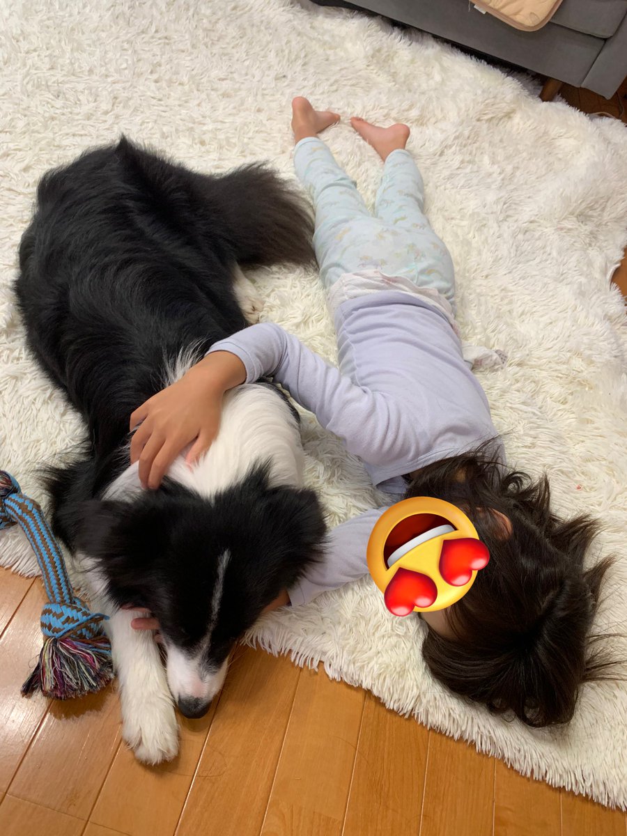 お散歩疲れて休んでたら姉ちゃん起きてきていじられる