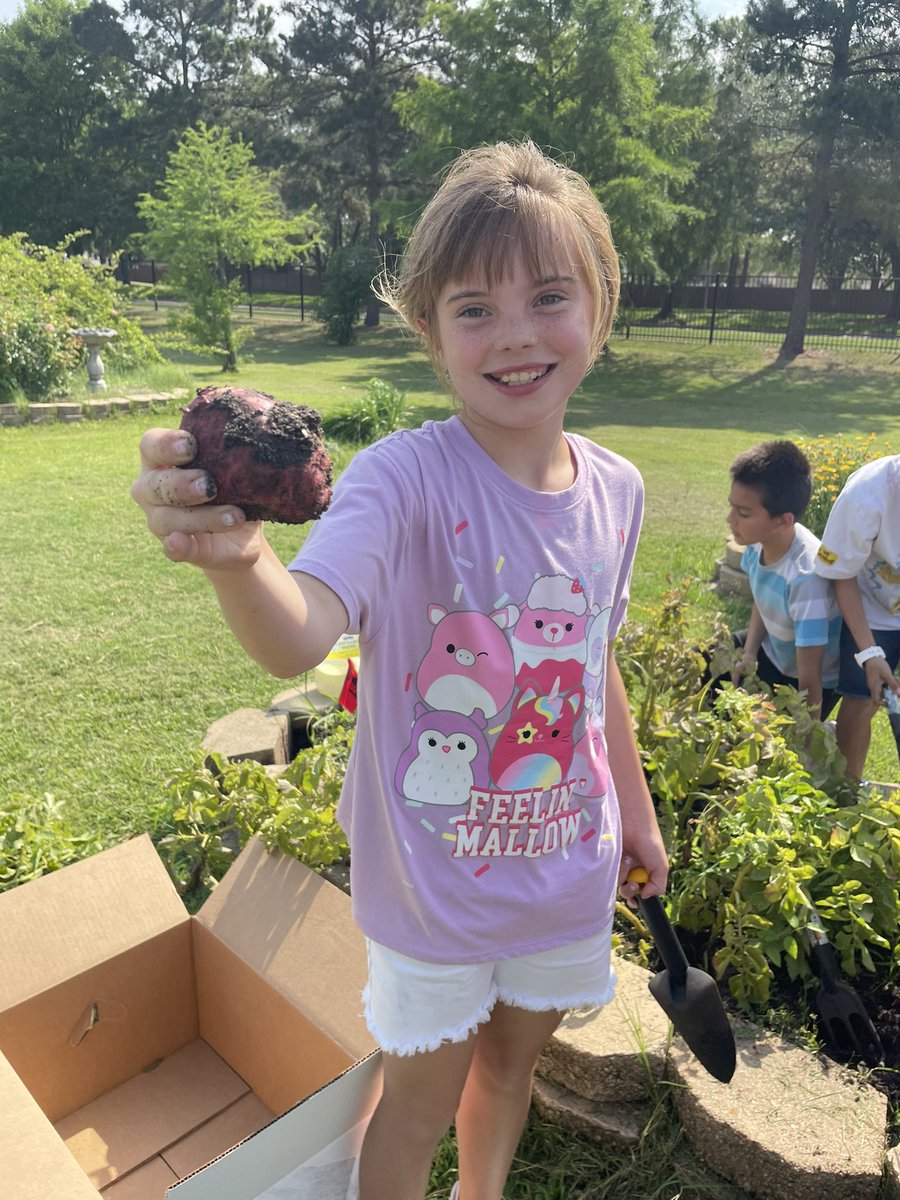 Kara Wolf (@mrswolfrtgg) on Twitter photo The final garden day for this group had quite the harvest! <a href="/KeithElemPTO/">Keith Elementary PTO</a> <a href="/CFISDKeith/">Keith Elementary</a> <a href="/readygrowgarden/">Ready to Grow Garden</a> <a href="/PowerUpCafe/">Cy-Fair Nutrition</a> <a href="/PowerUpEmmy/">Emmy Durand, MPH, RD, SNS</a> <a href="/CFISDScience/">CFISD Science</a> <a href="/CFISDprin/">CFISD Principals</a> The final garden day for this group had quite the harvest! <a href="/KeithElemPTO/">Keith Elementary PTO</a> <a href="/CFISDKeith/">Keith Elementary</a> <a href="/readygrowgarden/">Ready to Grow Garden</a> <a href="/PowerUpCafe/">Cy-Fair Nutrition</a> <a href="/PowerUpEmmy/">Emmy Durand, MPH, RD, SNS</a> <a href="/CFISDScience/">CFISD Science</a> <a href="/CFISDprin/">CFISD Principals</a>