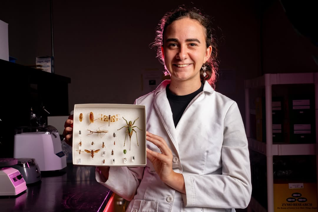 Texas A&M Entomology (@tamuentomology) on Twitter photo Lisa Rollinson ’25, a Barry Goldwater Scholar, spent her time at <a href="/TAMU/">Texas A&M University</a> researching the black soldier fly and its potential for environmental sustainability. Rollinson credits scholarships for fueling her passion and path in academic research. Read more: tx.ag/LisaRollinson Lisa Rollinson ’25, a Barry Goldwater Scholar, spent her time at <a href="/TAMU/">Texas A&M University</a> researching the black soldier fly and its potential for environmental sustainability. Rollinson credits scholarships for fueling her passion and path in academic research. Read more: tx.ag/LisaRollinson