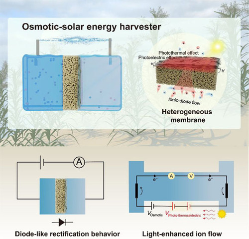 Engineering Multiscale Heterostructure as Ionic Diode and Light-Driven Ion Pump for Osmotic-Solar Energy Harvesting chinesechemsoc.org/doi/10.31635/c… 

#chemistry #openaccess #science #chemtwitter
