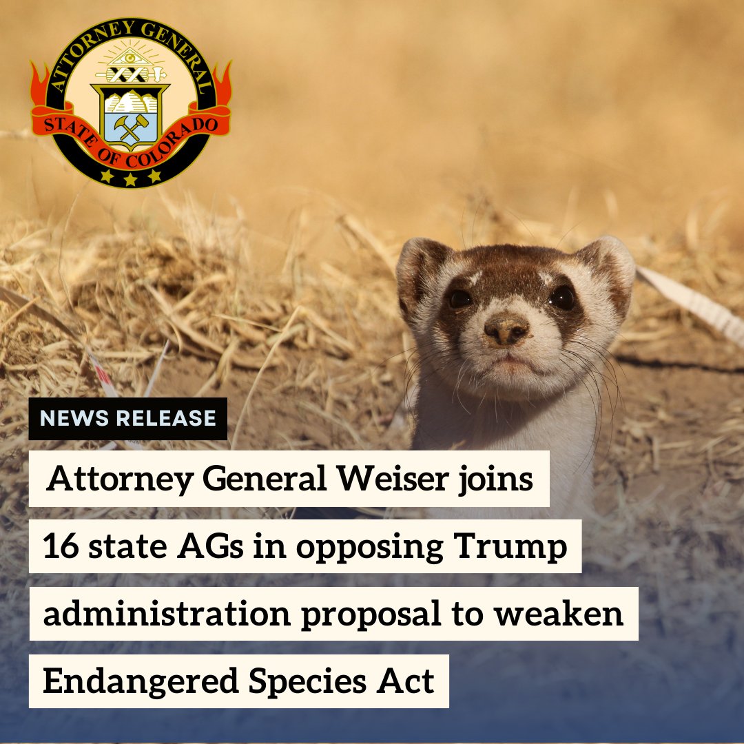 In Colorado, dozens of animal and plant species and their habitats are protected by the Endangered Species Act. Today, AG Weiser joined with other state AGs to oppose a move by the Trump administration to weaken the law. Learn more: bit.ly/3H48iFu