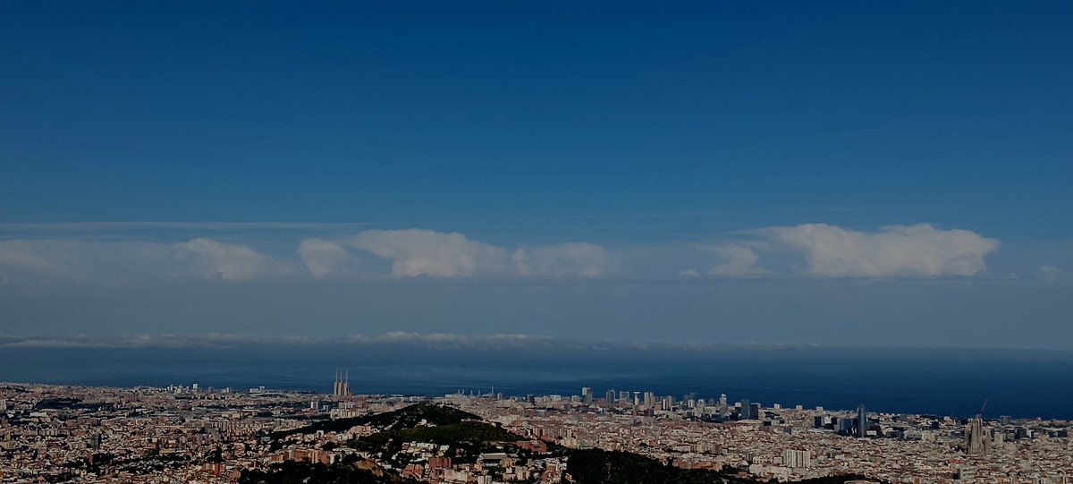 Carles Nerín Faydella tweet media