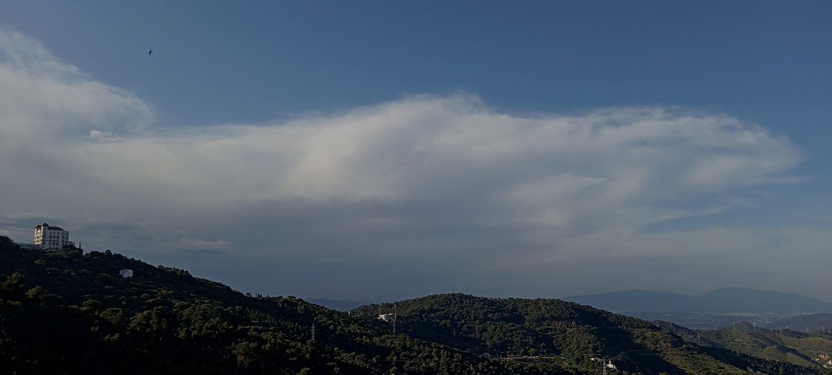 Carles Nerín Faydella tweet media