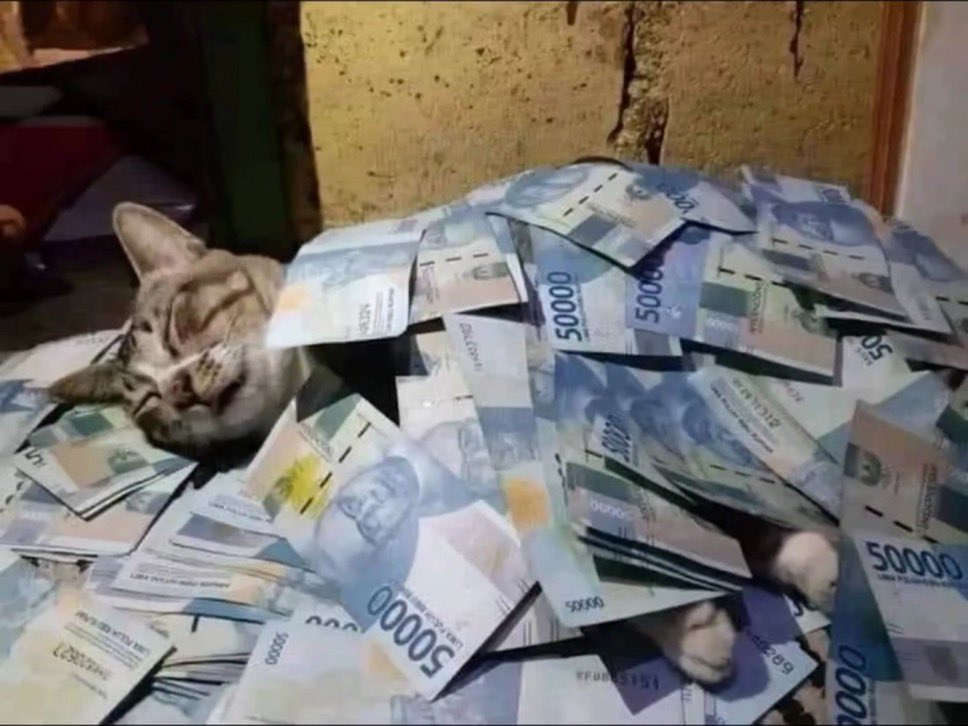 bandit prints currency worldwide 💰🌍