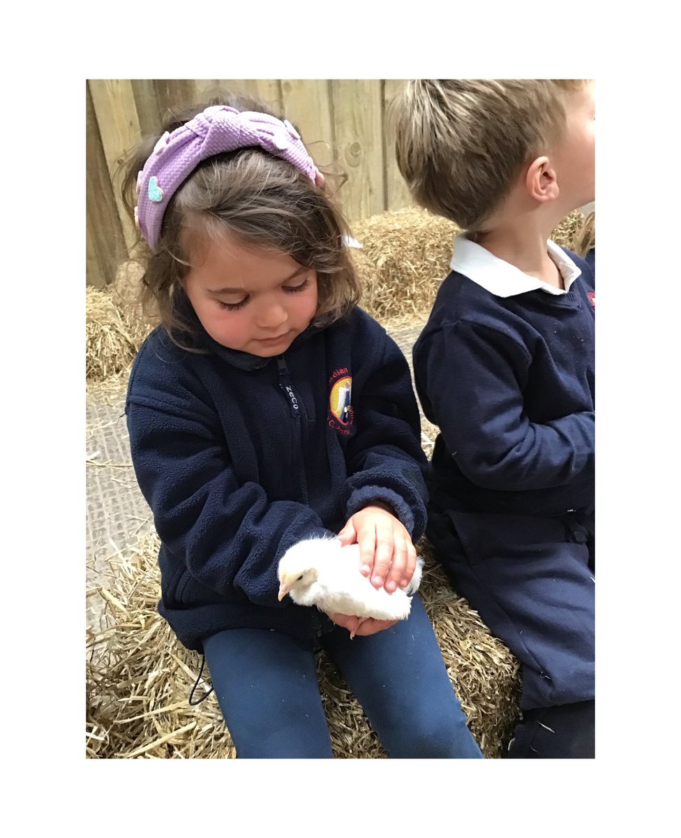 GA_Bury's tweet photo. Nursery had a fantastic day at @Smithillsfarm We enjoyed taking care of the animals, learning about their offspring and seeing where milk comes from! #NurseryGA #ScienceEdGA #GeographyEdGA #PSHEEdGA https://t.co/aDowJPDhd7