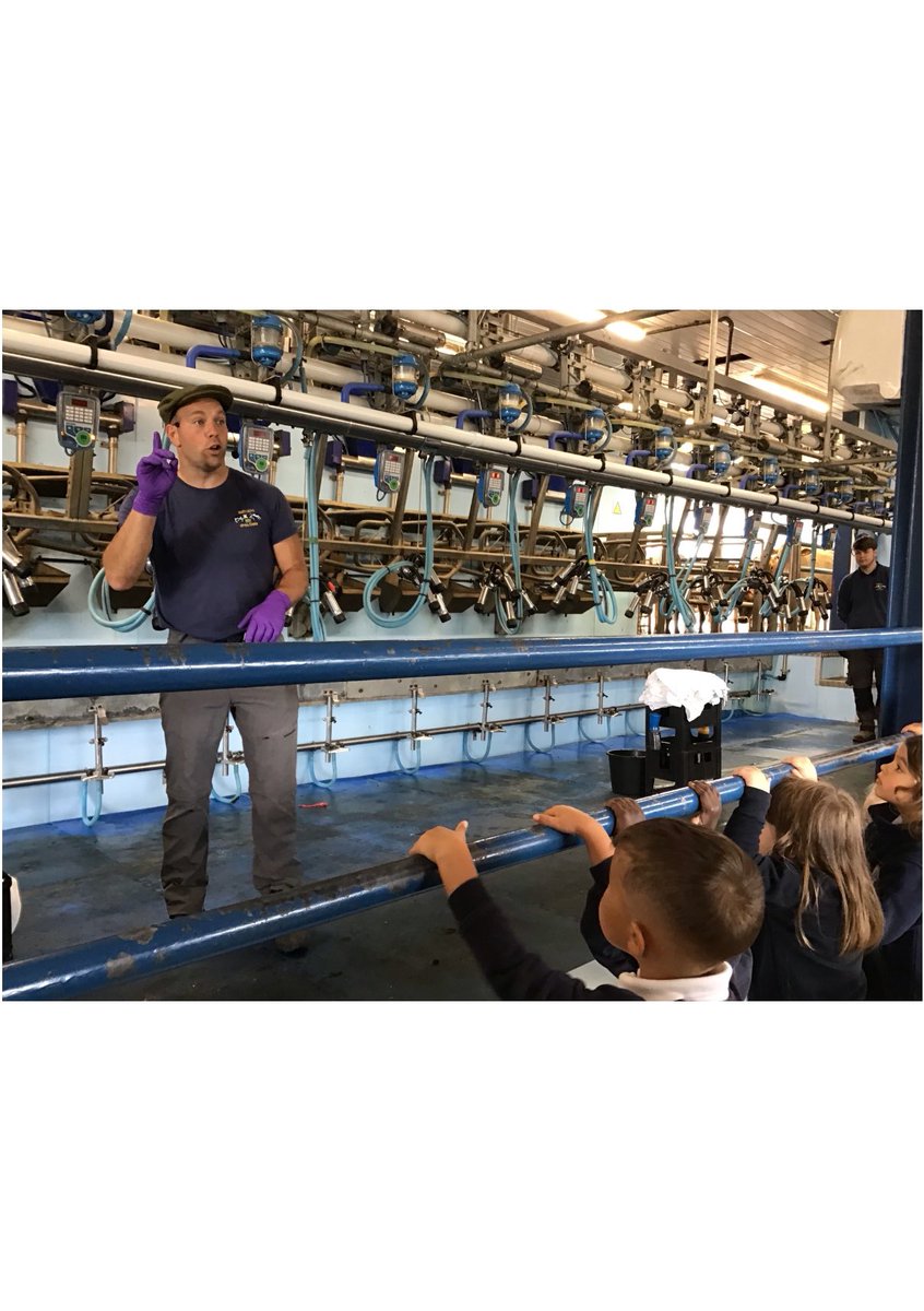 GA_Bury's tweet photo. Nursery had a fantastic day at @Smithillsfarm We enjoyed taking care of the animals, learning about their offspring and seeing where milk comes from! #NurseryGA #ScienceEdGA #GeographyEdGA #PSHEEdGA https://t.co/aDowJPDhd7