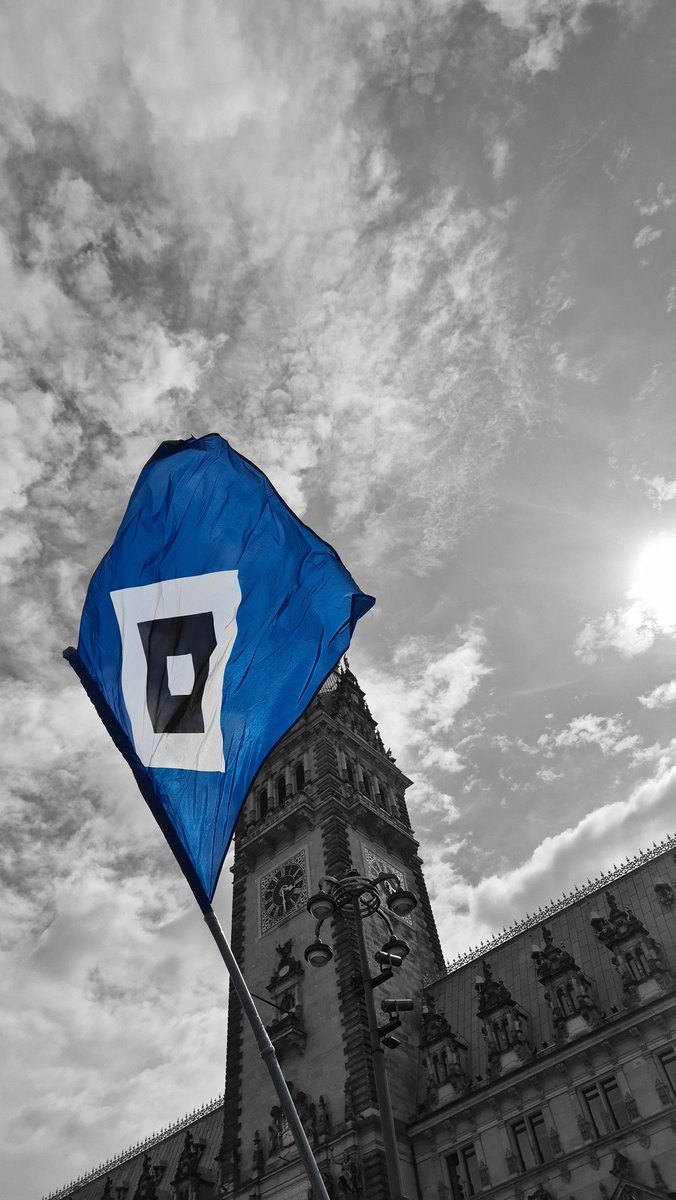 #nurderhsv #fürimmerhsv #aufsteiger2025 💙🤍🖤