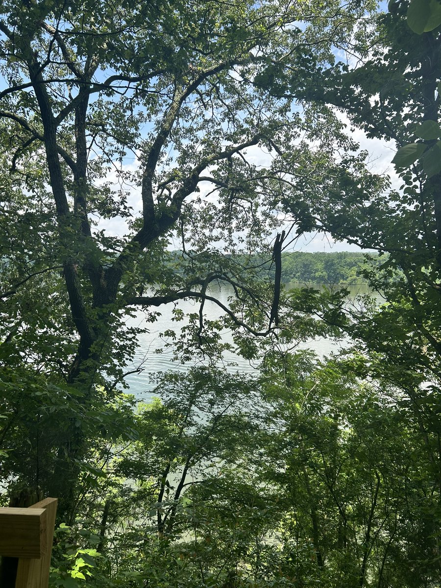 ursummerwine_'s tweet photo. Alabama in the springtime is heavenly https://t.co/0UislZrnCQ